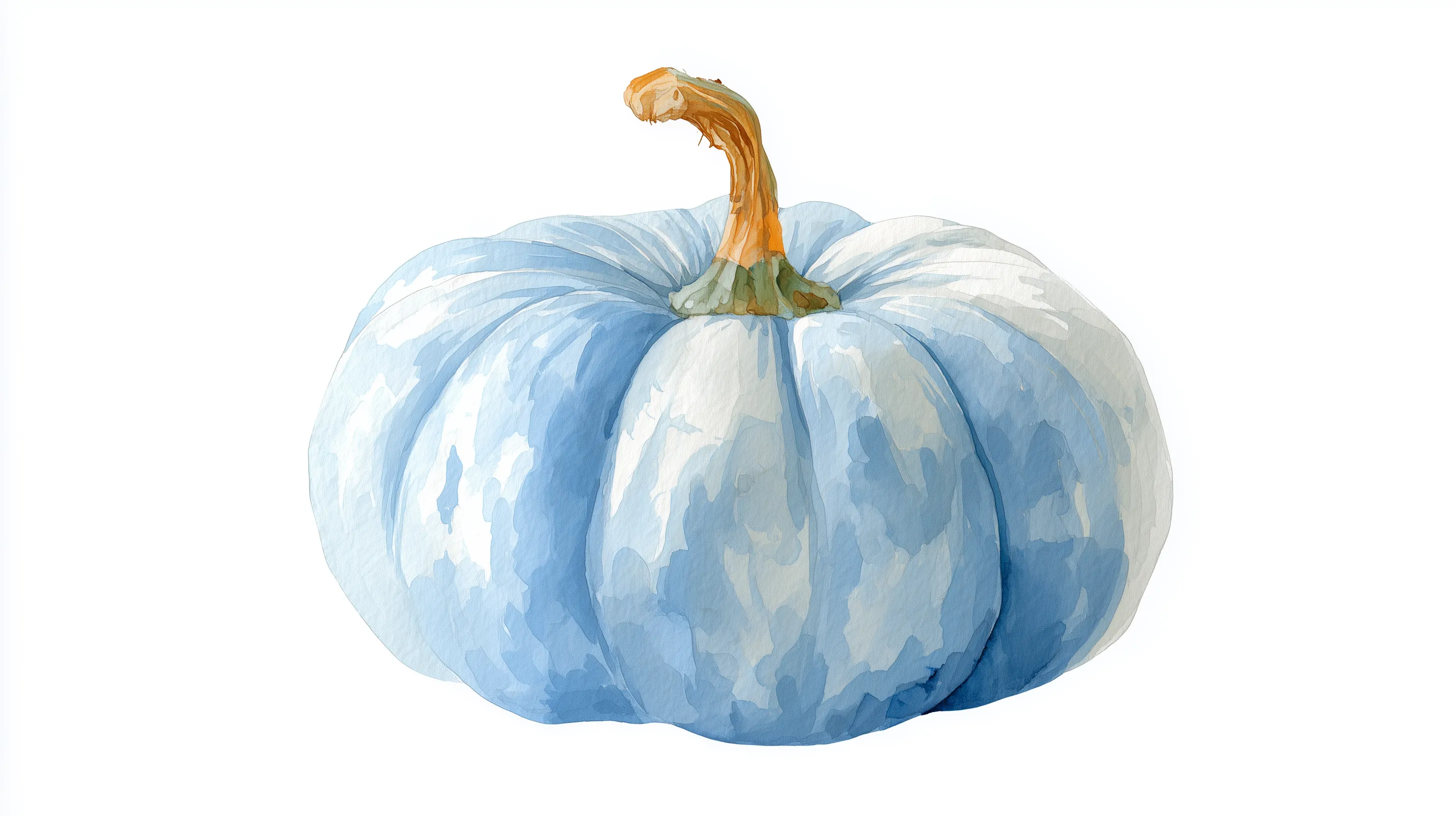 fondos de pantalla Calabaza 4k de pc