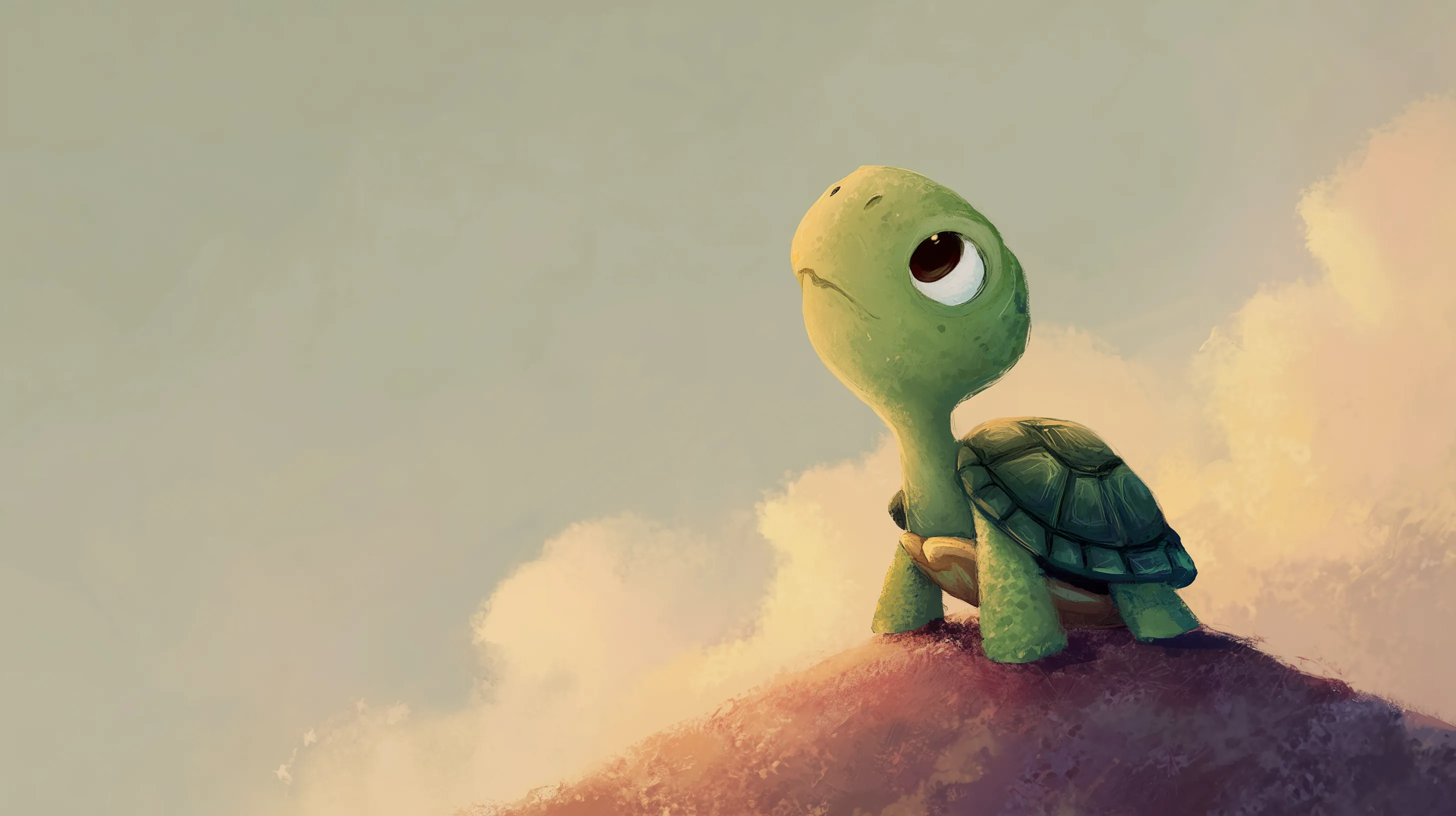 fondos de pantalla de Tortuga para ipad
