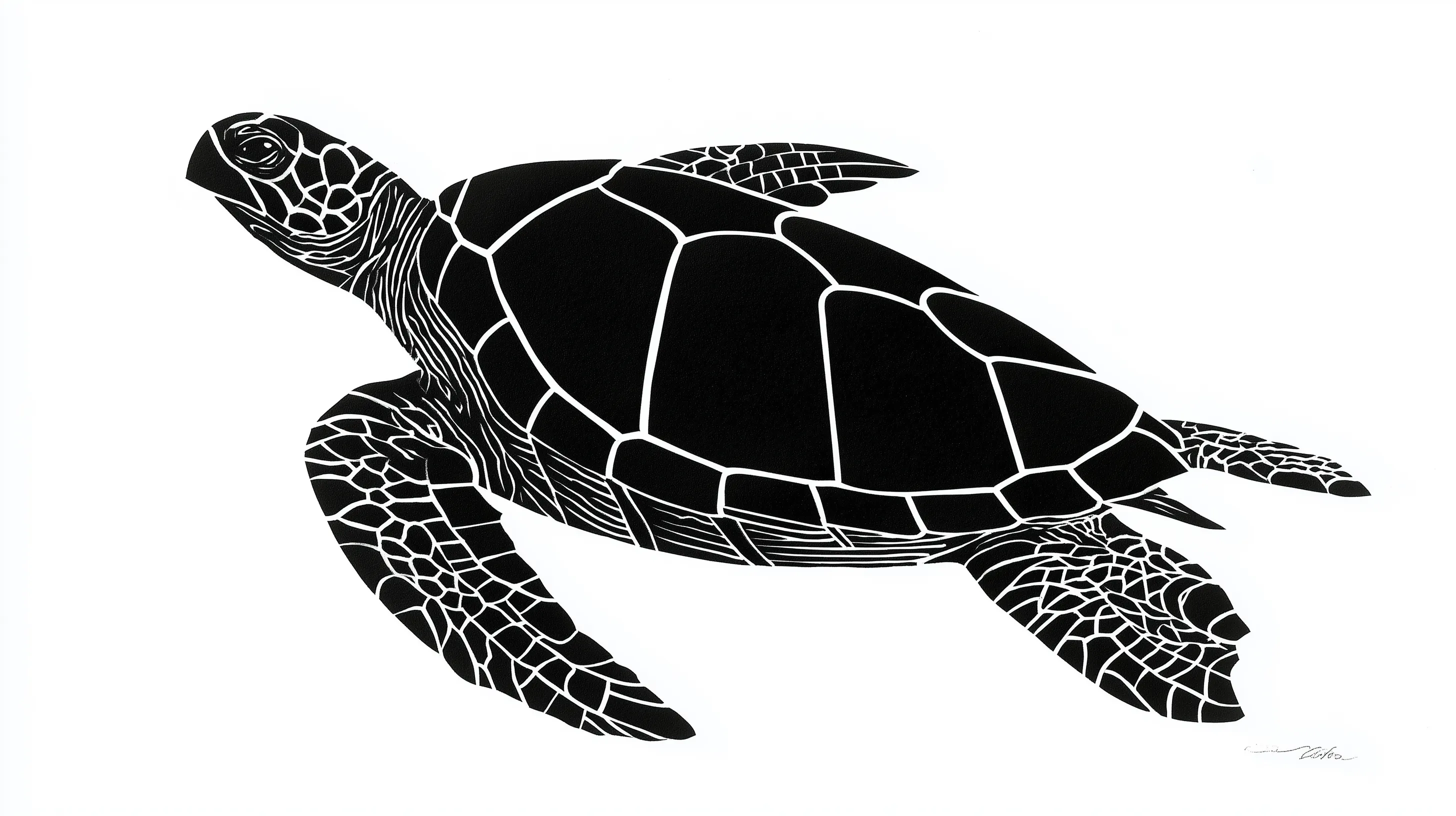 fondos de pantalla de aesthetic de Tortuga para computadora